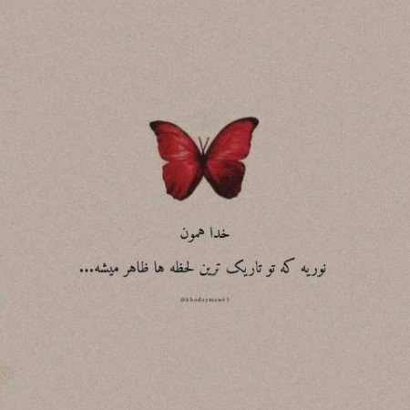  عکس سال نو