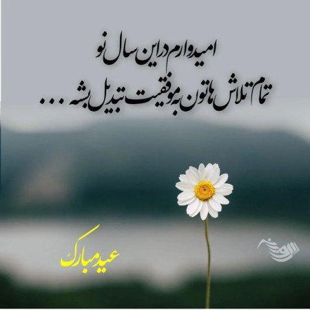  عکس سال نو