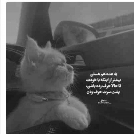 عکس مشکی