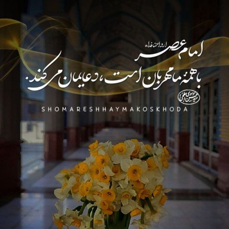  عکس گل نرگس