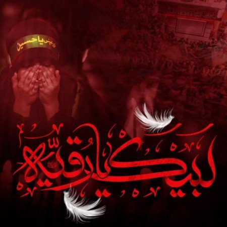  عکس گل نرگس