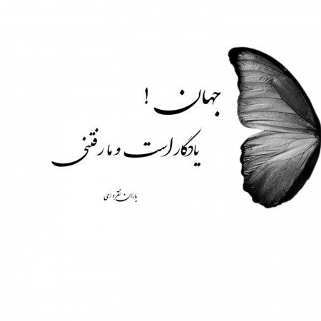  عکس حقیقت