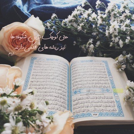  عکس بهار