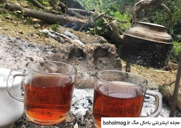عکس چای آتیشی در کوه