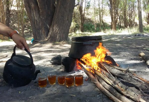 متن در مورد چایی برای استوری