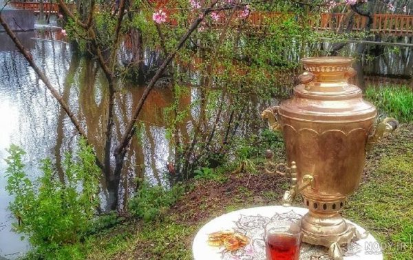 متن در مورد چایی برای استوری