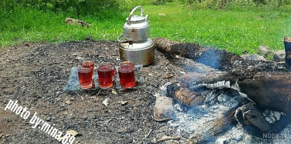 متن در مورد چایی برای استوری