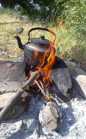 عکس چای برای پروفایل