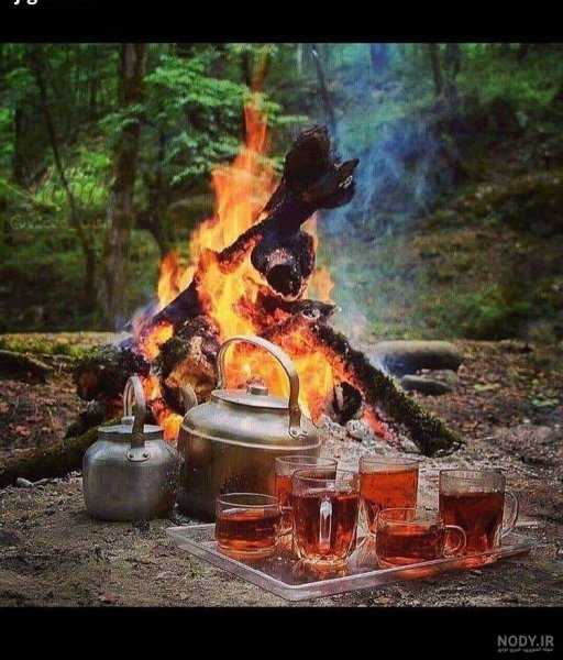 عکس چای برای پروفایل