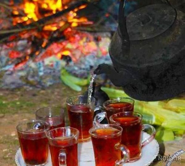 عکس چای برای پروفایل