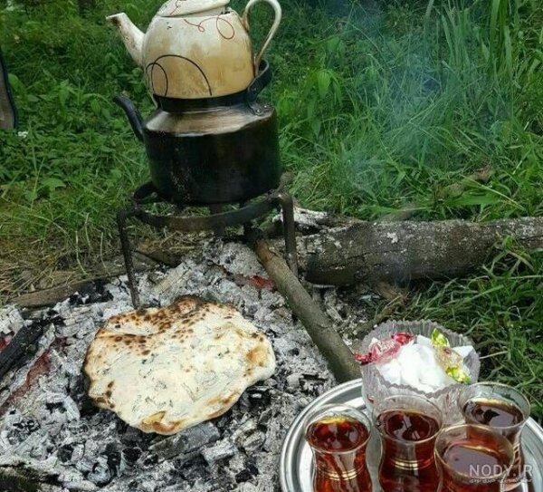 عکس چای برای پروفایل
