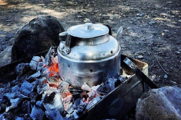 عکس چای برای پروفایل