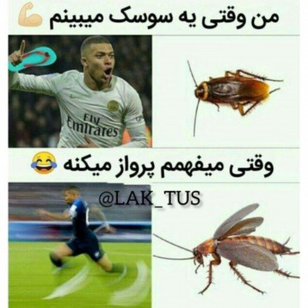  عکس خنده دار برای پروفایل