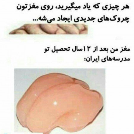  عکسهای خنده دار خفن