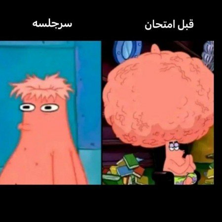  عکسهای خنده دار خفن