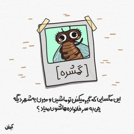  عکس خنده دار برای استوری
