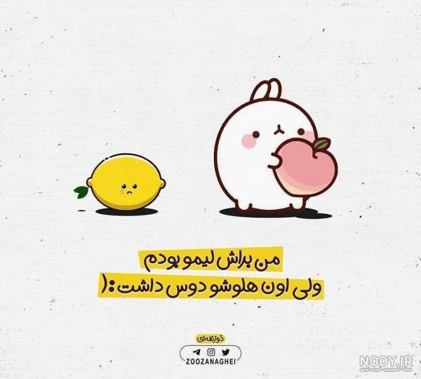  عکس خنده دار دونفره