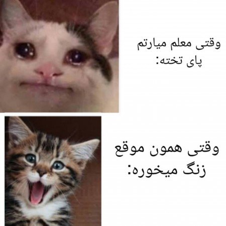  عکس پروفایل خنده دار بدون متن