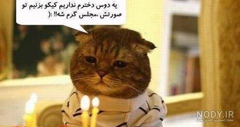  عکس خنده دار حیوانات با متن