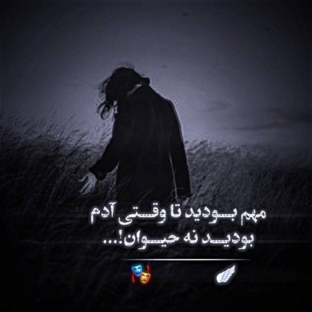  عکس حیوانات اهلی برای کودکان