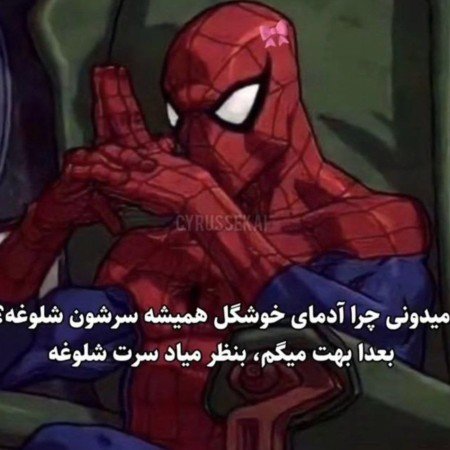 عکس گربه خنده دار جدید