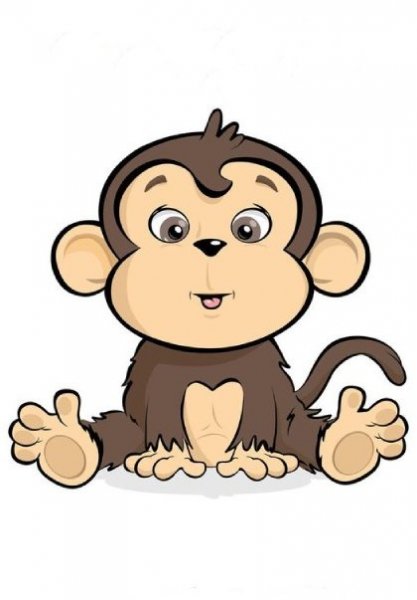  عکس میمون دختر