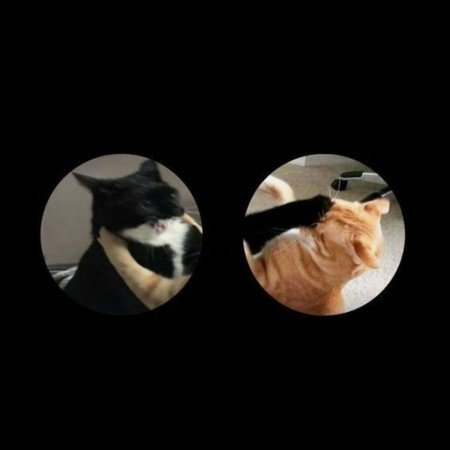  عکس خنده دار برای کانال روبیکا