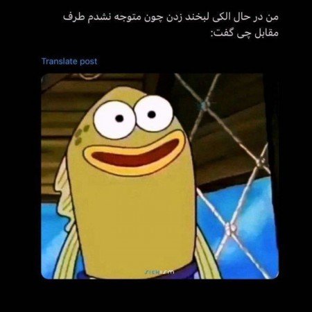  عکس خنده دار برای کانال روبیکا
