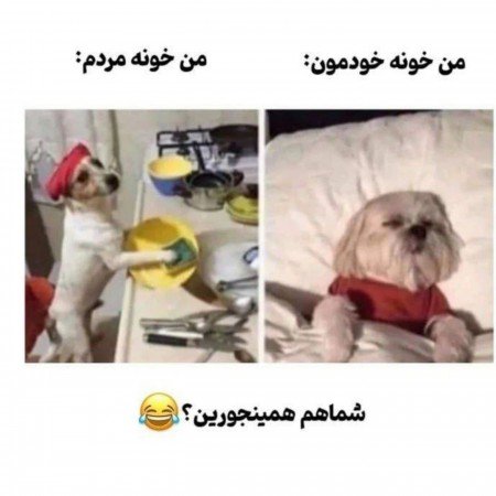  عکس خنده دار پروفایل گروه