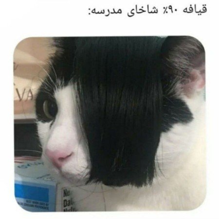  عکس خنده دار پروفایل گروه