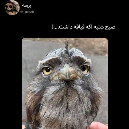  عکس خنده دار پروفایل گروه
