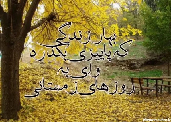 عکس پیرمرد برای پروفایل