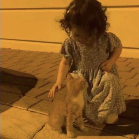 عکس پاتریک برای پروفایل