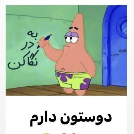 عکس باب اسفنجی و پاتریک واقعی