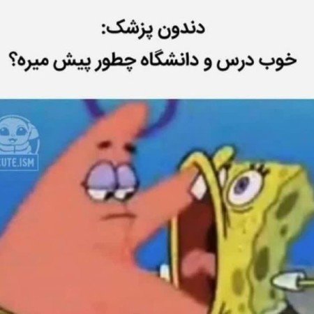  عکس باب اسفنجی کیوت