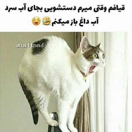  تصاویر خنده دار