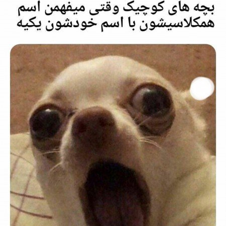  تصاویر خنده دار