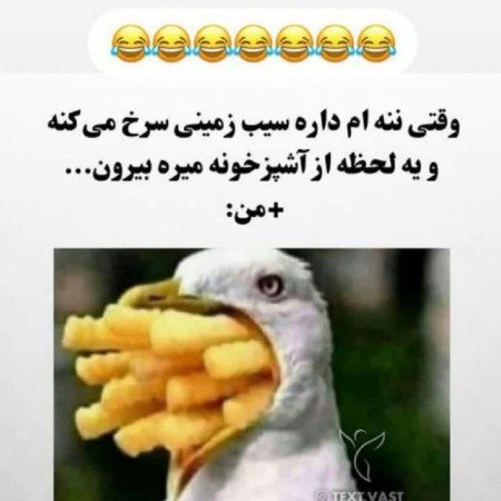  تصاویر خنده دار