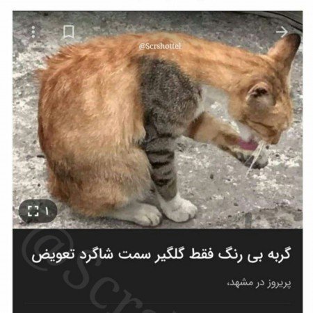  تصاویر خنده دار