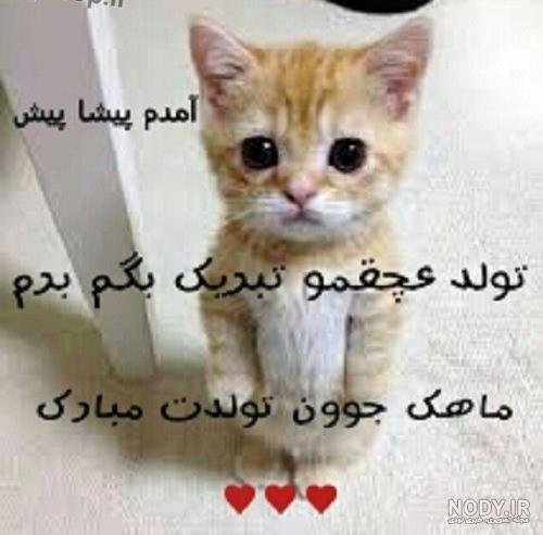  عکس تبریک تولد خنده دار