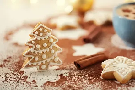  عکس کریسمس برای پروفایل