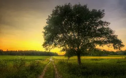  عکس کریسمس 2025