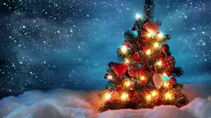  عکس کریسمس امسال
