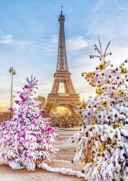  عکس کریسمس پاریس
