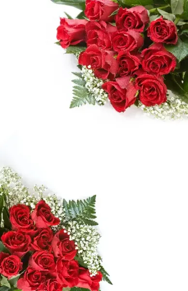  عکس پروفایل کریسمس ۲۰۲۵