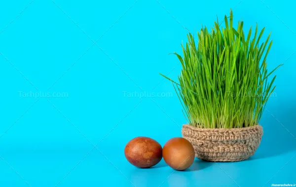 عکس عید نوروز ۱۴۰۳