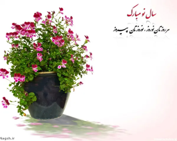 عکس عید نوروز ۱۴۰۳
