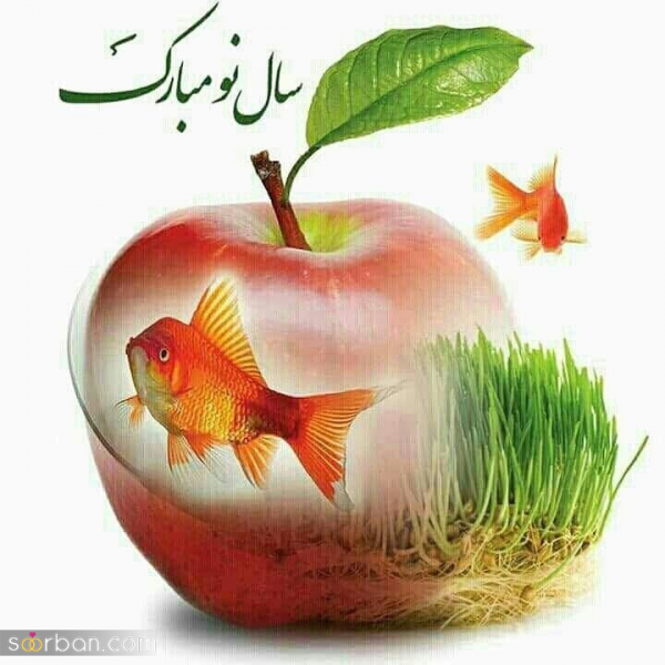  عکس های سال نو مبارک
