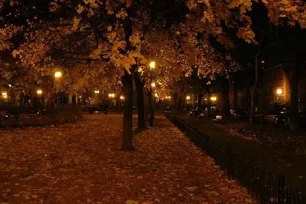  عکس شب یلدا با کیفیت بالا