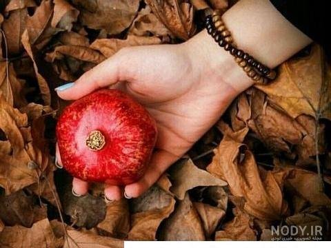  عکس انار پاییزی
